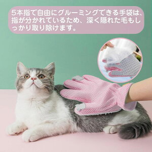 O[~OO[u ybguV L  uV ybgюuV ю ʋCǂ   Ep uV 