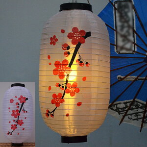 y4Zbgz~  Ԗ͗l  25*48cm   VN̂傤 a h ܂肽ݎ ėp\ | ԉΑ   pi^̂ݔ̔Ă