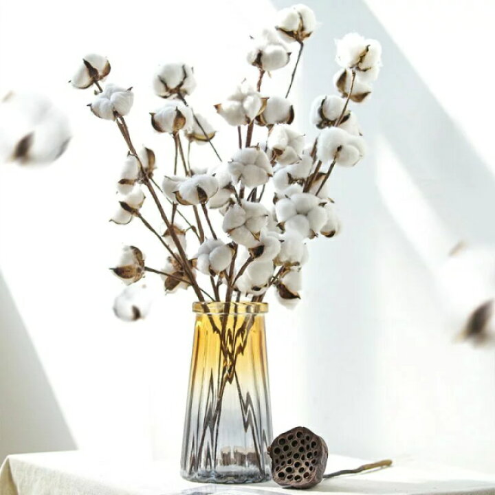 楽天市場 半額割引 楽天スーパーsale 6本 ドライフラワー 花束 コットン バレンタイン クリスマス 飾り モダン 結婚式 お祝い お祭り プレゼント 贈り物 玄関 部屋 お宅 店 装飾 インテリア Monuso 楽天市場 半額割引 楽天スーパーsale 6本 ドライフラワー 花束 コットン バレンタイン クリスマス 飾り モダン 結婚式 お祝い お祭り プレゼント 贈り物 玄関 部屋 お宅 店 装飾 インテリア Monuso