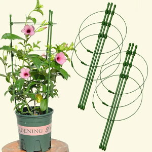 ϗtx 񂮂񃊃O x A Ԏx A|pi ~͗p 3̒߉\ȃOt45cm K[fjOpx 2