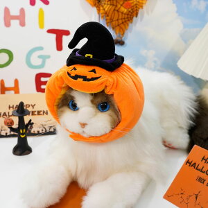 nEB J{`ڂ L nEB RXv ڂXq  L ybg  ϑ ^ ͋C[J[ Xq Be 37*9*9cm