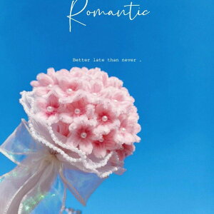 yiz52{  ԑ |[  ͂Ȃ | [t[  ̓ hV̓ JXj Ǝ  v[g o^Cf[ zCgf[ Ԃ ʂ