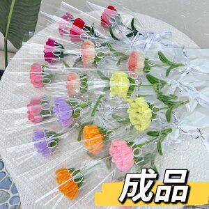 【完成品】 カーネーション 手芸モール 造花 枯れない花 手芸 モールフラワー 手作り 母の日 敬老の日 開店祝い 卒業式 女性 プレゼント バレンタインデー ホワイトデー お返し ぬいぐるみ