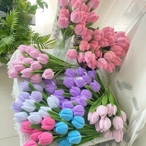 yiz `[bv |[  ͂Ȃ | [t[  ̓ hV̓ JXj Ǝ  v[g o^Cf[ zCgf[ Ԃ ʂ݉