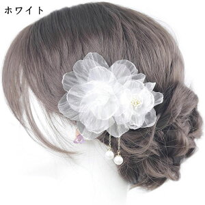  wAANZT[ Nbv  hp[r[Y a a   킢 ԏ Ղ ԉΑ l  Ǝ EGfBO Ӊ w