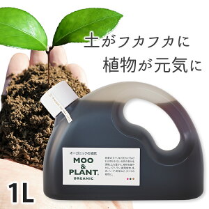 I[KjbN̉t MOO&PLANT 1bgt畝LgĊȒPL@JAS  t L@t 엿 ͔ ǔ ʗvf ƒ؉ | y   ϗtA A n[u ybg