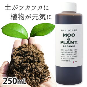 I[KjbN̉t MOO&PLANT 250mlt畝LgĊȒPL@JAS  t L@t 엿 ͔ ǔ ʗvf ƒ؉ ƒ뉀| y   ϗtA A n[u o 