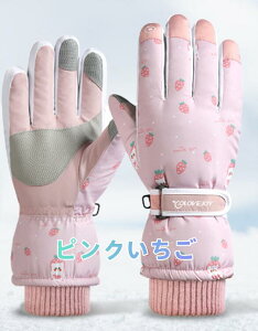 スキー グローブ レディース 5本指 レディース メンズ スキーグローブ スキー スノーボード 手袋 スノボー スノボ バイクグローブ スノーボード 防寒 防風 防水 ウィンタースポーツ スノグロ