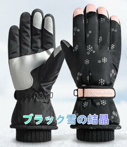 XL[ O[u fB[X 5{w fB[X Y XL[O[u XL[ Xm[{[h  Xm{[ Xm{ oCNO[u Xm[{[h h h h EB^[X|[c XmO