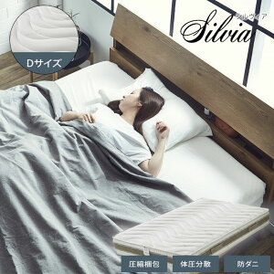 64%OFF k[ }bgX _u DTCY 23cm VBA k}bgX mRC  ᔽ k h_j ̈U ʋC C^A Ai