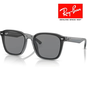 RayBan レイバン サングラス メガネフレーム 66□17 グレー RB4392D 645087 フラットレンズ クロス付 レイバン純正メガネケース付き 国内正規品