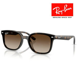 RayBan Co TOX Klt[ 6417 uE noi RB4461D 710/13 tbgY NXt CoKlP[Xt Ki