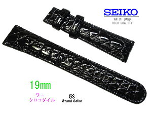 19mm ���v�o���h �O�����h�Z�C�R�[�����x���g DD58BW �N���R�_�C�� �� SBGR002����