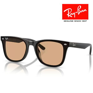 RayBan レイバン サングラス メガネフレーム 65□18 ブラック ブラウン RB4391D 601/93 クロス付き レイバン純正メガネケース付き 国内正規品