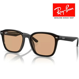RayBan レイバン サングラス メガネフレーム 66□17 ブラック ブラウン RB4392D 601/93 クロス付き レイバン純正メガネケース付き 国内正規品
