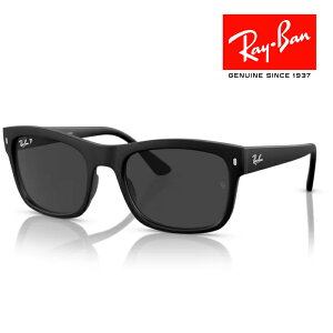 RayBan Co TOX Klt[ 5621 ubN O[ polarized ΌY RB4428F 601S48 NXt CoKlP[Xt Ki