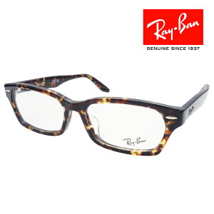 RayBan Co Klt[ 5516 uE noi RX5344D 2243 NXt CoKlP[Xt xtΉiHOYA SELUX982j Ki