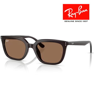 RayBan レイバン サングラス メガネフレーム 54□21 ブラック ブラウン RB4439D 623173 クロス付き レイバン純正メガネケース付き 国内正規品