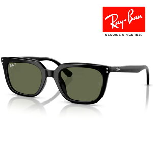 RayBan レイバン サングラス メガネフレーム 54□21 ブラック 偏光レンズ RB4439D 901/9A クロス付き レイバン純正メガネケース付き 国内正規品