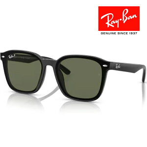 RayBan レイバン サングラス メガネフレーム 66□17 ブラック ブラウン RB4392D 601/9A クロス付き レイバン純正メガネケース付き 国内正規品