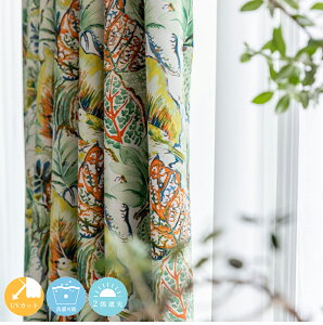 _IV//Ռh/ՉOf[VAxXNłۂłch[vJ[eQ{^jJ/A