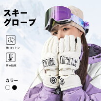 楽天市場】スノーボード プロテクター（グローブ｜スキー 