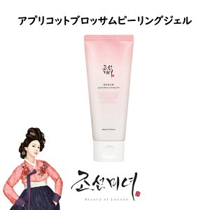 [Beauty of Joseon] N AvRbgubTs[OWF 100ml s[O ؍RX lQ ؍ϕi XLPA ؍lC lQN[