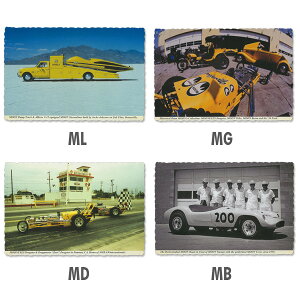 MOONEYES ([ACY) USA |XgJ[h