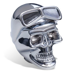 Chrome Skull with Goggle �V�t�g�m�u
