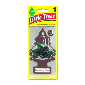 Little Tree GA[tbVi[ ubNx[