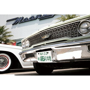 Area-1 {q CZX v[gyJAPAN Sizez