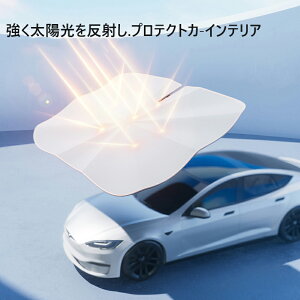 y2025NV^zybsOzOJbg  RpNg  tgJo[ P p\ ܂肽 ԗp 悯 uv TVF[h 10{ tgTVF[h O΍ Ռ 