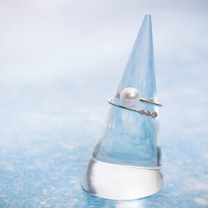 �p�[�� �_�C�������h �����O Pure Line �p�[�������O Pt900 ���f�B�[�X �v���`�i �^�� �w�� 6�� �a���� DES0201PLINE000000 ���[�����[�x�� Moon Label