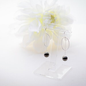 ubN p[ sAX ^ Ellipse p[sAX K18WG fB[X 18 DES0504ELPS0000000 [[x Moon Label