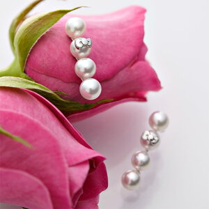 n[LeB sAX ^ Hello Kitty Quadruple p[ sAX fB[X DES0505KT-4ST00000 [[x Moon Label