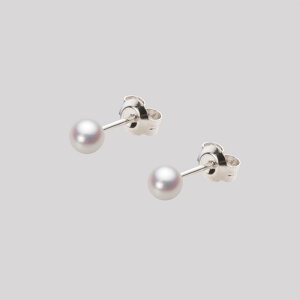 xr[p[ sAX ^ 4.0mm AR ^ sAX Pt900 v`i fB[X HA00040R12WPNPA04P [[x Moon Label