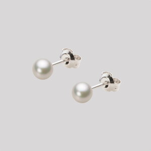 xr[p[ sAX ^ 4.5mm AR ^ sAX Pt900 v`i fB[X HA00045R13CW0PA04P [[x Moon Label