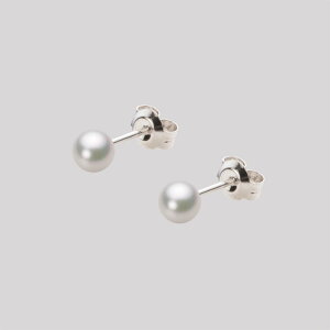 xr[p[ sAX ^ 4.5mm AR ^ sAX Pt900 v`i fB[X HA00045R13WPGPA04P [[x Moon Label