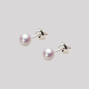 xr[p[ sAX ^ 4.5mm AR ^ sAX Pt900 v`i fB[X HA00045B11WPNPA04P [[x Moon Label