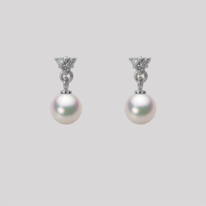 xr[p[ sAX ^ 5.0mm AR ^ sAX K18WG zCgS[h fB[X HA00050R11WPG617W0 [[x Moon Label