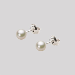 xr[p[ sAX ^ 5.0mm AR ^ sAX Pt900 v`i fB[X HA00050R12CG0PA04P [[x Moon Label