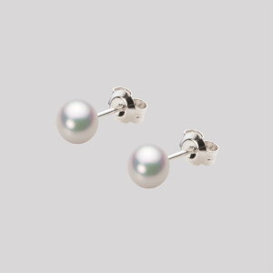 xr[p[ sAX ^ 5.0mm AR ^ sAX Pt900 v`i fB[X HA00050B11WPGPA04P [[x Moon Label