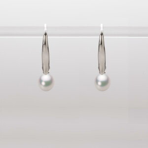 xr[p[ sAX tbN ^ 5.0mm AR ^ sAX K18WG zCgS[h fB[X HA00050D12WPG716W0 [[x Moon Label
