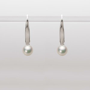 xr[p[ sAX tbN ^ 5.5mm AR ^ sAX K18WG zCgS[h fB[X HA00055R11CW0716W0 [[x Moon Label