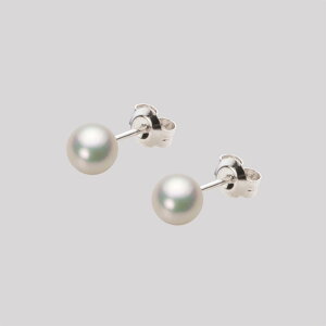xr[p[ sAX ^ 5.5mm AR ^ sAX Pt900 v`i fB[X HA00055R11CW0PA04P [[x Moon Label