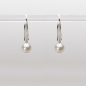 xr[p[ sAX tbN ^ 5.5mm AR ^ sAX K18WG zCgS[h fB[X HA00055R13CW0716W0 [[x Moon Label