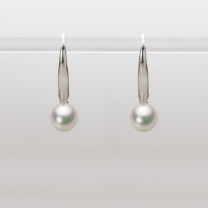 p[ sAX tbN ^ 6.0mm AR ^ sAX K18WG zCgS[h fB[X HA00060R11CW0716W0 [[x Moon Label