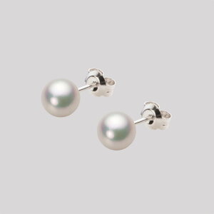 p[ sAX ^ 6.0mm AR ^ sAX Pt900 v`i fB[X HA00060R11CW0PA04P [[x Moon Label