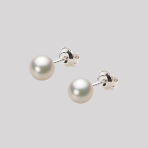 p[ sAX ^ 6.0mm AR ^ sAX Pt900 v`i fB[X HA00060R12CW0PA04P [[x Moon Label