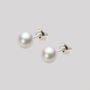 p[ sAX ^ 6.0mm AR ^ sAX Pt900 v`i fB[X HA00060B13WPGPA04P [[x Moon Label